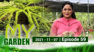 My Garden | Episode 59 | 07 - 11 - 2021 | Siyatha TV