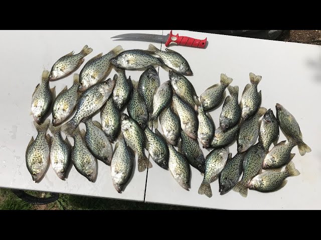 Watch Ask an Angler: Virtual Fishing Course (Crappie Fishing Tips) on YouTube.
