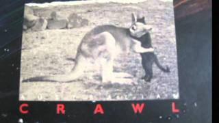 Watch Australian Crawl Divers Down video