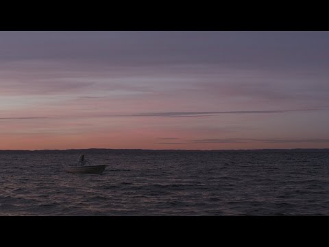 Ripple Video