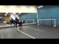 Avaliação de Dança
