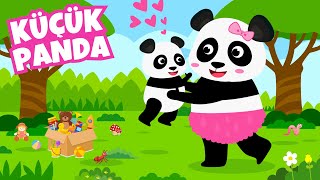 Bir Küçücük Pandacik Varmış - Hayvanları Öğreniyorum - Çocuk Şarkıları - Çizgi Film