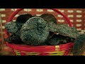 FIRE CUPPING and SEAHORSE TEA in China! Welcome to Traditional Chinese Medicine!