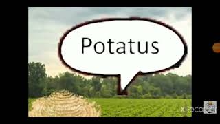 Potatus