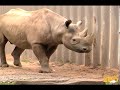Time to Register for Zoo Run Run