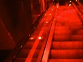 COCO BONGO- ingresso discoteca- cancu... COCO BONGO- ingresso discoteca- cancu...