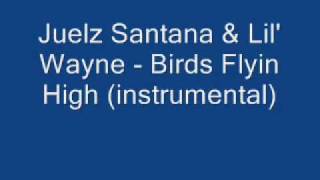 Watch Lil Wayne Birds Flyin High video