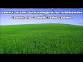 Тихое время с Живой Жизнью: Числа 2:1-34 (13052017) Тихое время с Живой Жизнью: Числа 2:1-34 (13052017)