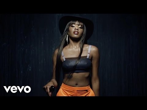 Van Vogue Video