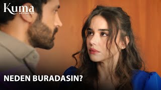 S2MrcjpEDyA Video Image