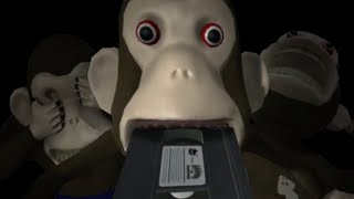 Monkey Time Amanda The Adventurer 2