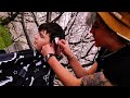 Cherry Blossom Haircut in Japan