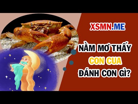 Nằm mơ thấy cua đánh con gì? Giải mã giấc mơ thấy cua