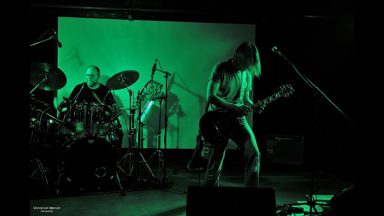 Pigs in Rock