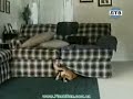 Юмор скачать приколы реальные приколы 