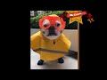 Cute Baby Animals Videos Compilation Cute Moment of The Animals 12