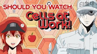 Should You Watch Cells at Work?