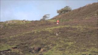 Tom Smeaton The Hill