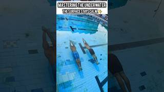 Smooth Dolphin Underwater