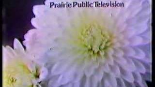 Prairie Public Television Ident 1980,