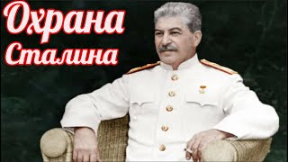 Как охраняли Сталина лучшие волкодавы?