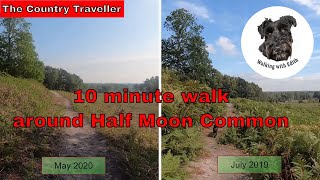 The New Forest - Half Moon Common walk May 2020 - birdsong, no music