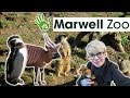 Marwell Zoo Trip | ~Chilling with cute animals ~