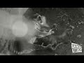 Lion vs Tiger Real Fight - One Will Die