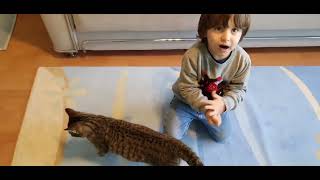 Fatih Selim tekir kedi japon ile oynamak istiyor ama kedi biraz heyecanlı hemen 