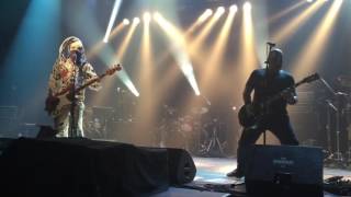 Watch Groovy Aardvark Da Bait video