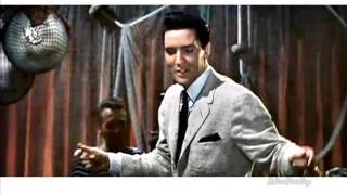 Watch Elvis Presley I Dont Wanna Be Tied video