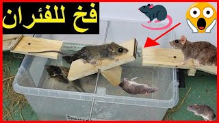 أسرع وأروع طريقة لصيد الفئران ☢ اصنع بنفسك افضل فخ للقضاء على فئران 💀 #3