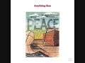 Anything Box - When we lie