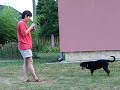 Rottweiler puppy "video" 4. - The puppy and the soap-bubbles. :)