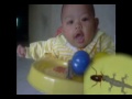 Lagu Anak Anak Cicak Cicak Di Dingding images Lagu Anak Anak Cicak Cicak Di Dingding