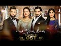 Yeh Na Thi Hamari Qismat OST | Nabeel Shaukat Ali & Yashal Shahid @ARY Digital