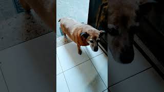 141025 Sergioamaralbelotrabalho8831