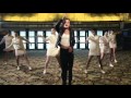 AronChupa   I'm an Albatraoz Official Music Video