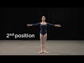 Insight: Ballet glossary - arm positions