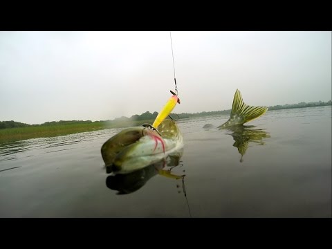 поверхностная ловля щуки видео поверхностная ловля щуки видео