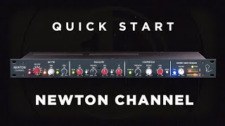 Quick Start: The Newton Channel