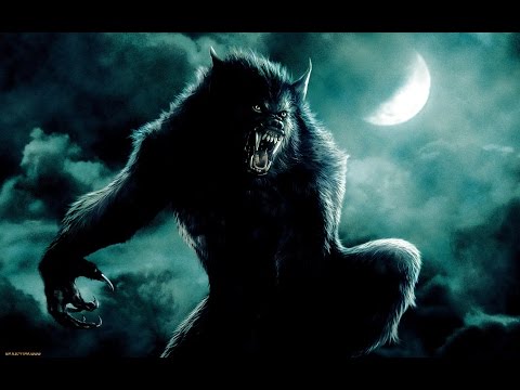 Смотреть новый фильм гробница