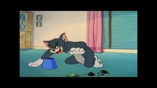 Tom And Jerry Episode 34 Kitty Foiled Part 1