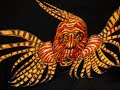 Lion Fish. James Kuhn. Face Paint Illusion. Art in Motion.
