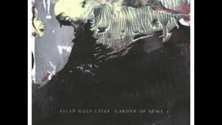 Watch Peter Wolf Crier Beach video