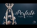 Vida Reluz - Perfeito é quem te criou (Clipe Oficial)