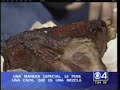 Title:Jose Duarte on CBS4 Boston Description:Jose Duarte Chef and owner of Taranta on CBS Channel 4 in Boston