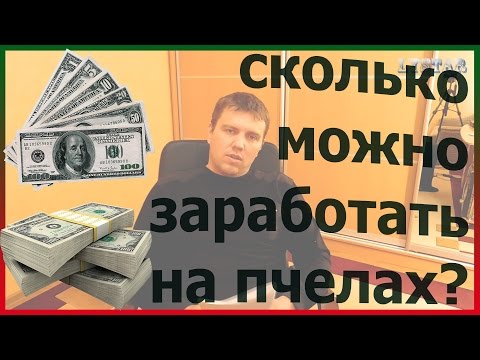 Сколько заработать на пчеловодстве Сколько заработать на пчеловодстве