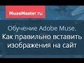   Adobe Muse -  10