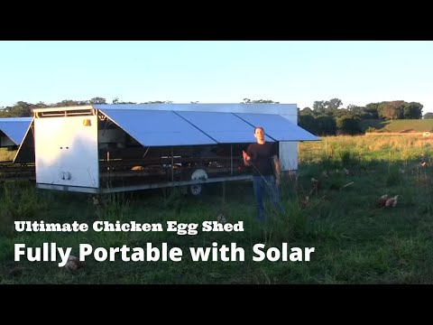 Ultimate Chicken Egg Shed - Fully Portable With Solar